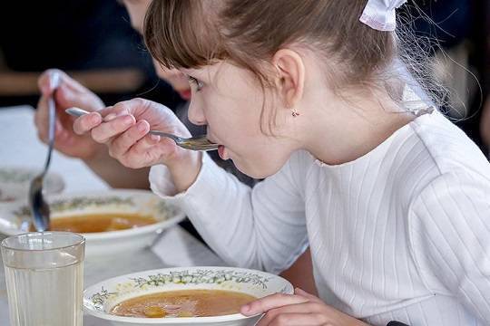 Госдума приняла закон о бесплатном горячем питании для младших школьников