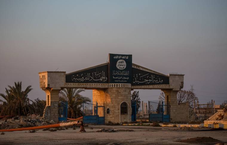 Шойгу: США ничего не сделали для восстановления разрушенной ими Ракки