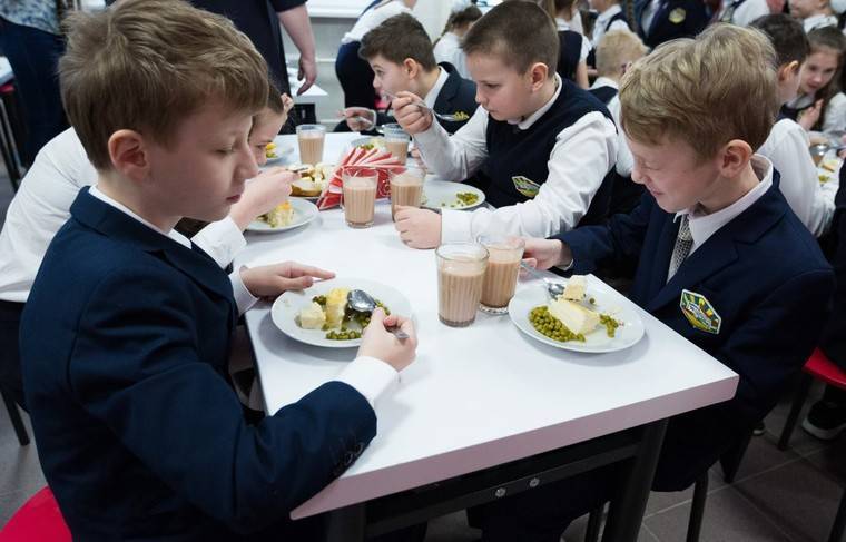 Депутаты приняли закон о бесплатном питании для учеников начальных классов