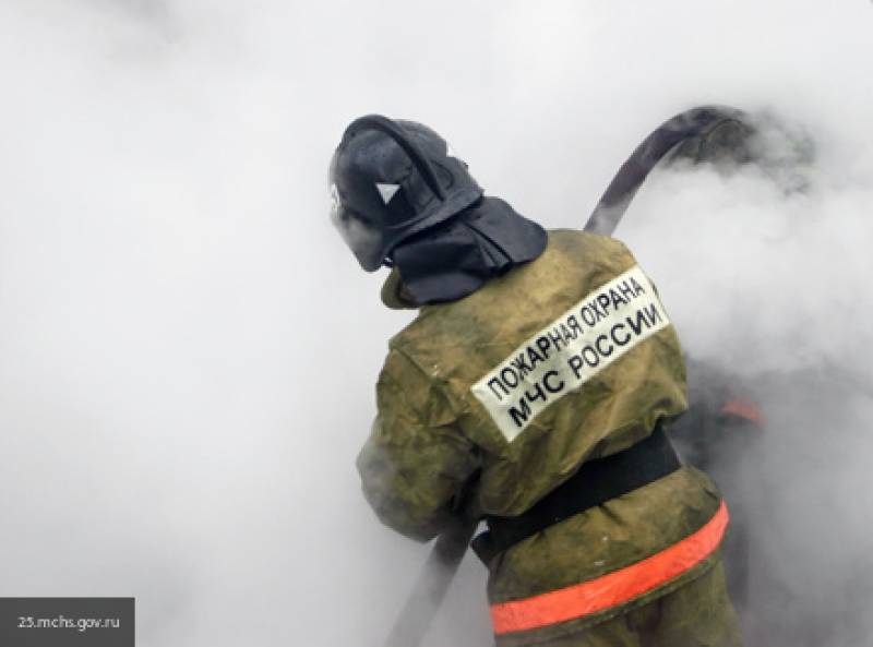 Пожар на Дальневосточном проспекте в Петербурге в магазине "Колесо" потушен