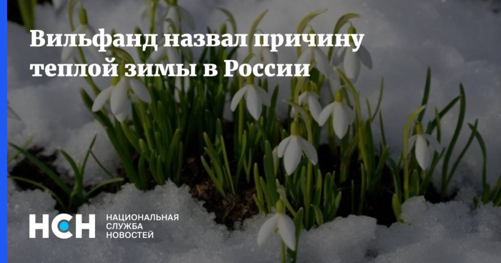 Вильфанд назвал причину теплой зимы в России