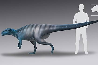 Решена полувековая загадка о динозаврах