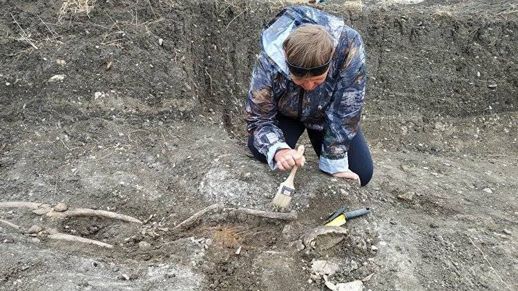 Ученые из Франции приедут в Крым на археологические раскопки