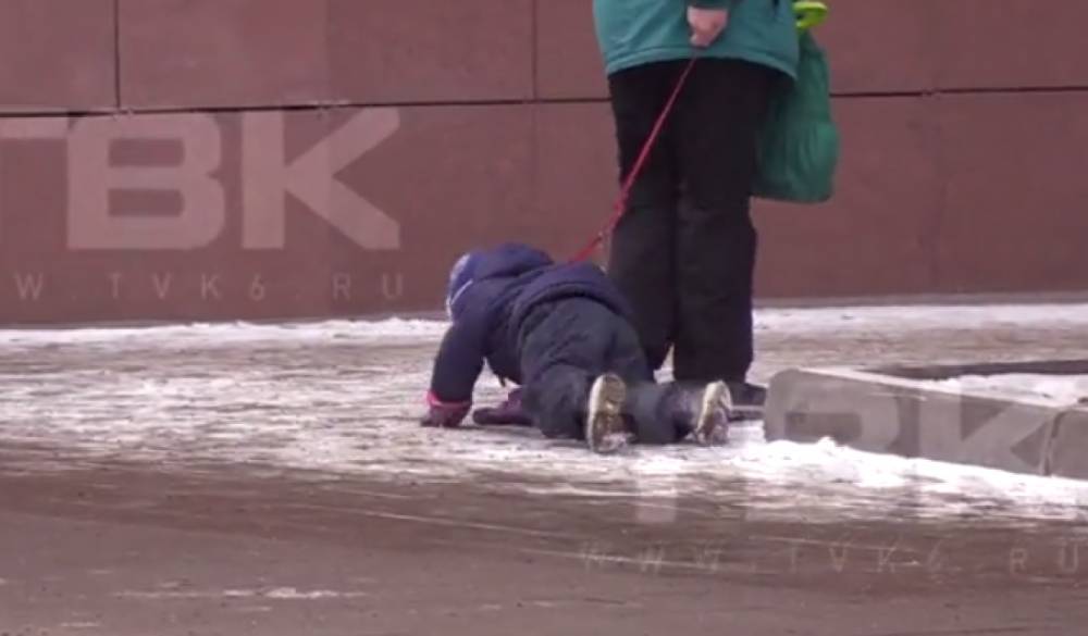 СК РФ заинтересовался бабушкой в Красноярске, таскавшей ребенка на поводке