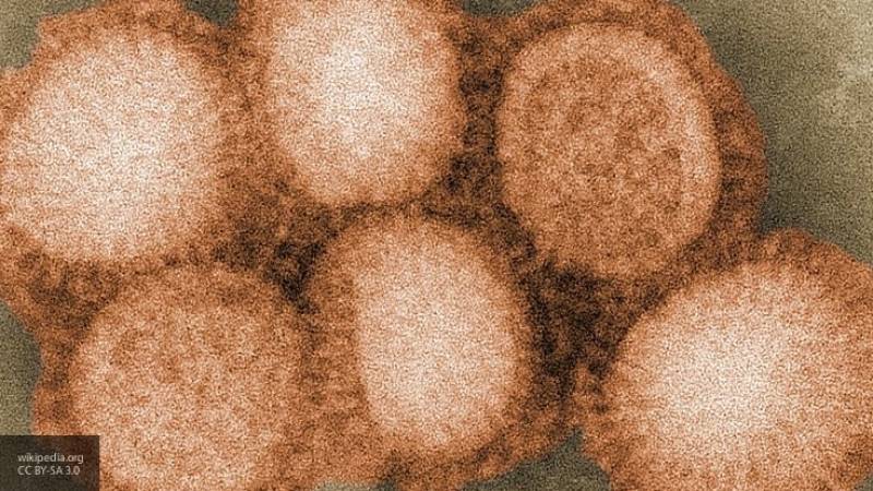 Вспышка птичьего гриппа зарегистрирована в китайской провинции Хунань