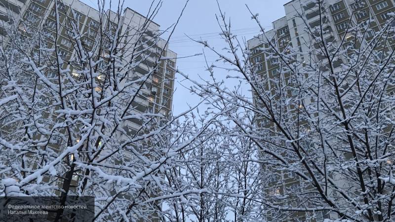 Роман Вильфанд спрогнозировал в столице февральские морозы