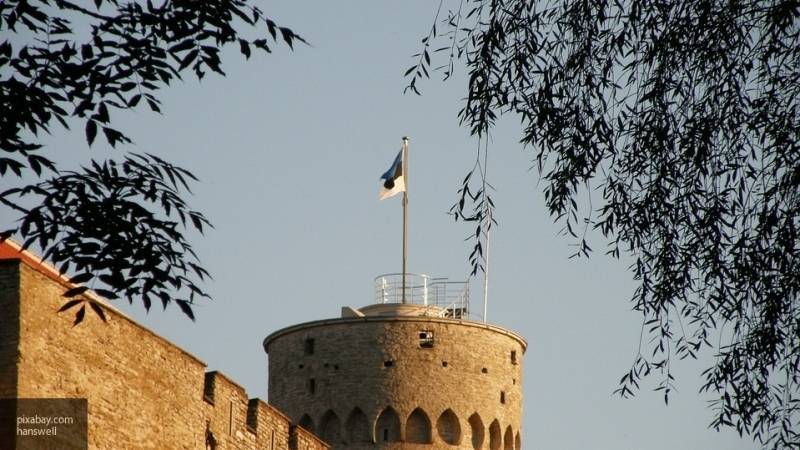 Бредихин считает, что Эстония вспоминает Тартуский договор для усиления своей значимости