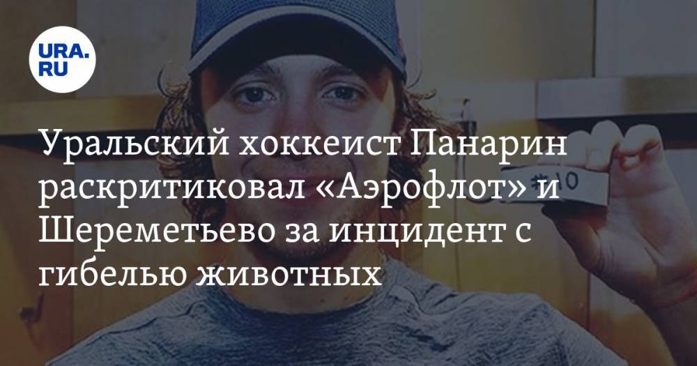 Уральский хоккеист Панарин раскритиковал «Аэрофлот» и Шереметьево за инцидент с гибелью животных