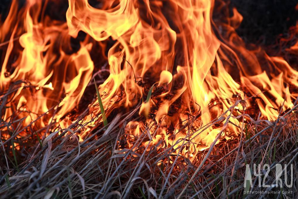 В Кузбассе из-за детской шалости произошло почти 50 пожаров