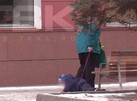 «Протащила несколько метров»: в Сибири бабушка выгуливала ребёнка на поводке