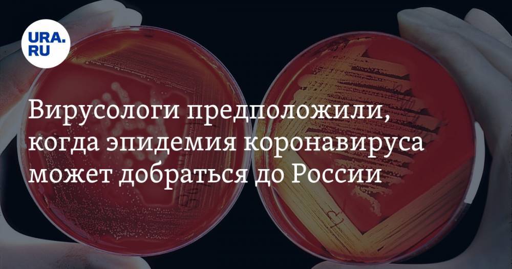 Вирусологи предположили, когда эпидемия коронавируса может добраться до России — URA.RU
