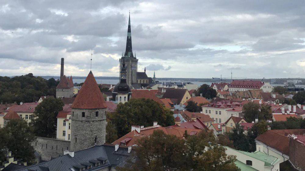 Лидер оппозиции Эстонии раскритиковала власти за территориальные претензии к России