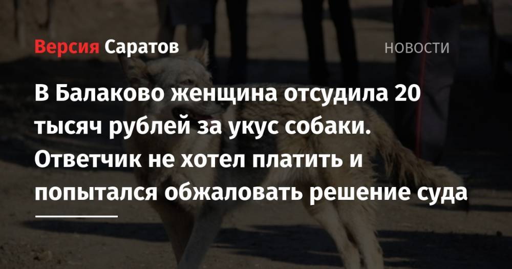 В Балаково женщина отсудила 20 тысяч рублей за укус собаки. Ответчик не хотел платить и попытался обжаловать решение суда