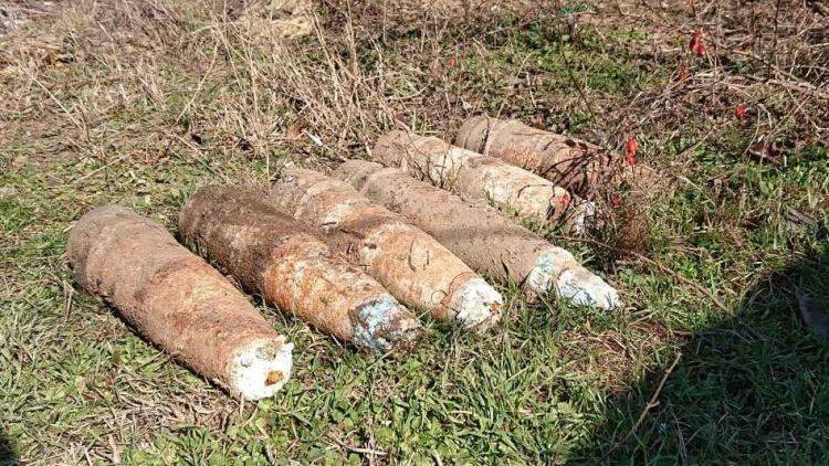 В Севастополе бойцы "Беркута" нашли шесть бомб в огороде пенсионерки