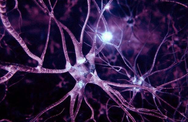В клетках кожи человека обнаружили странные связи, похожие на нейроны