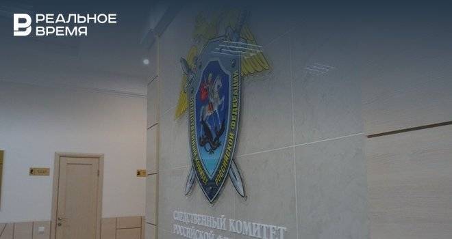 Следком: в Менделеевском районе Татарстана депутат устроил драку
