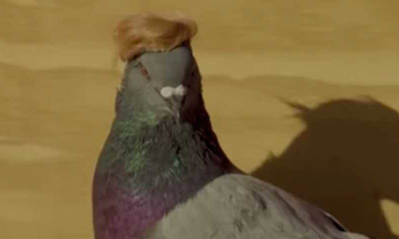 Над Лас-Вегасом пролетела стая голубей в кепочках и с прической Трампа