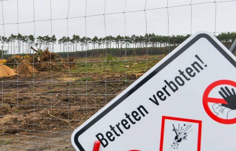 Суд разрешил Tesla вырубить лес в Германии под строительство завода