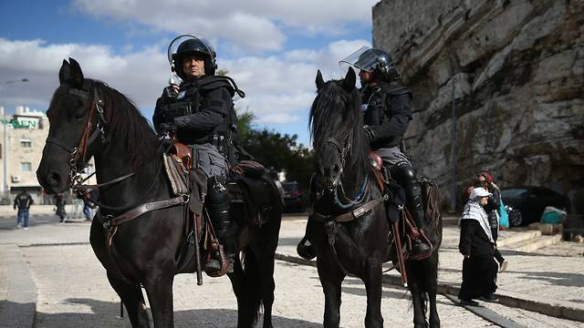 Репатрианты подождут: в Ликуде озаботились пенсиями для полицейских лошадей