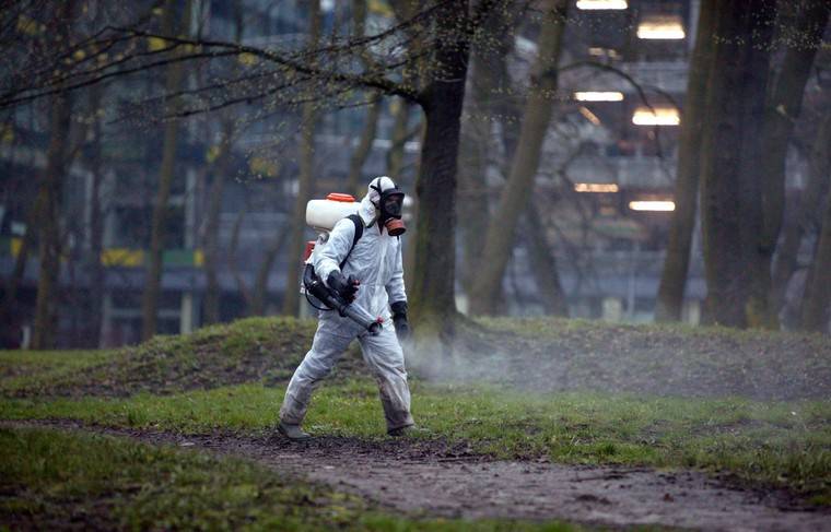 В Москве будут уничтожать грызунов для профилактики коронавируса