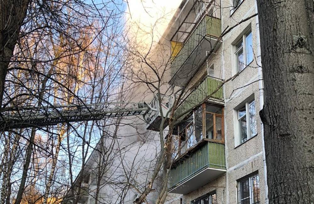 Пожарные в Москве спасли 5 человек и откачали кота