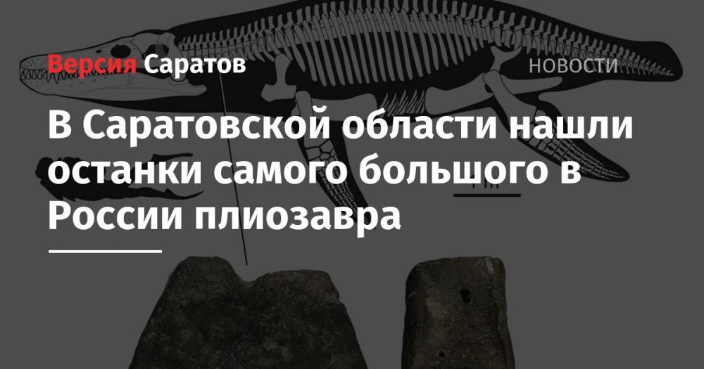 В Саратовской области нашли останки самого большого в России плиозавра