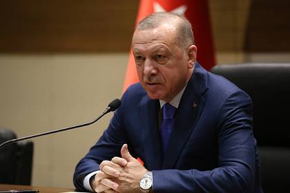 Эрдоган заявил Путину о сдерживании армии Сирии на территории Сирии