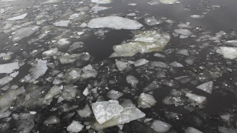Подводный охотник задохнулся под льдиной в Подмосковье