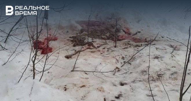 В Татарстане разыскивают охотников, застреливших лосиху с двумя детенышами