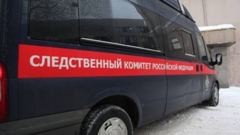 Подросток напал и пытался убить ребенка в Мурманской области