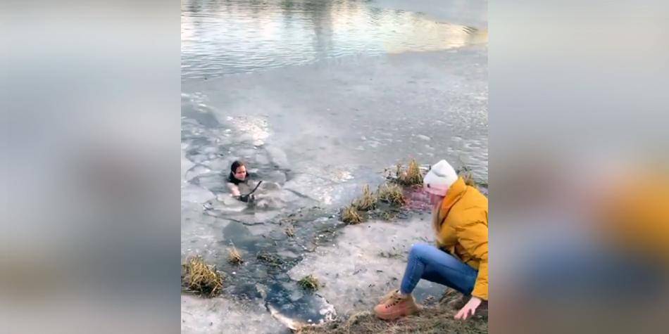 В Мытищах мать троих детей прыгнула в ледяной пруд, спасая собаку