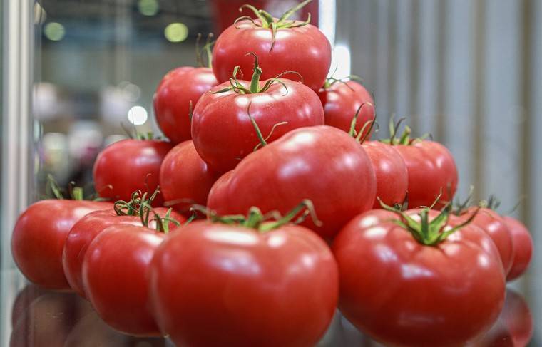 Губернатор Антальи предложил отменить квоту на турецкие помидоры для России