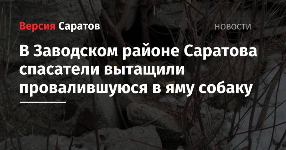 В Заводском районе Саратова спасатели вытащили провалившуюся в яму собаку