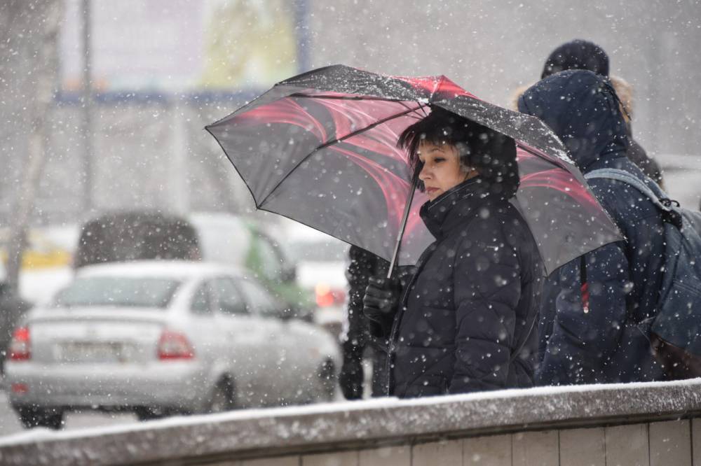 Синоптики предупредили москвичей о мокром снеге 24 февраля