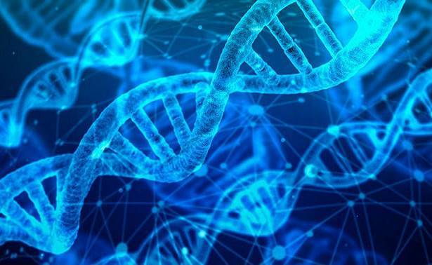 Ученые обнаружили следы ДНК неизвестного вида человека