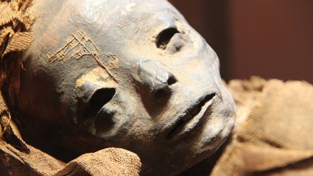 СМИ сообщили о найденной в Ленинградской области мумии