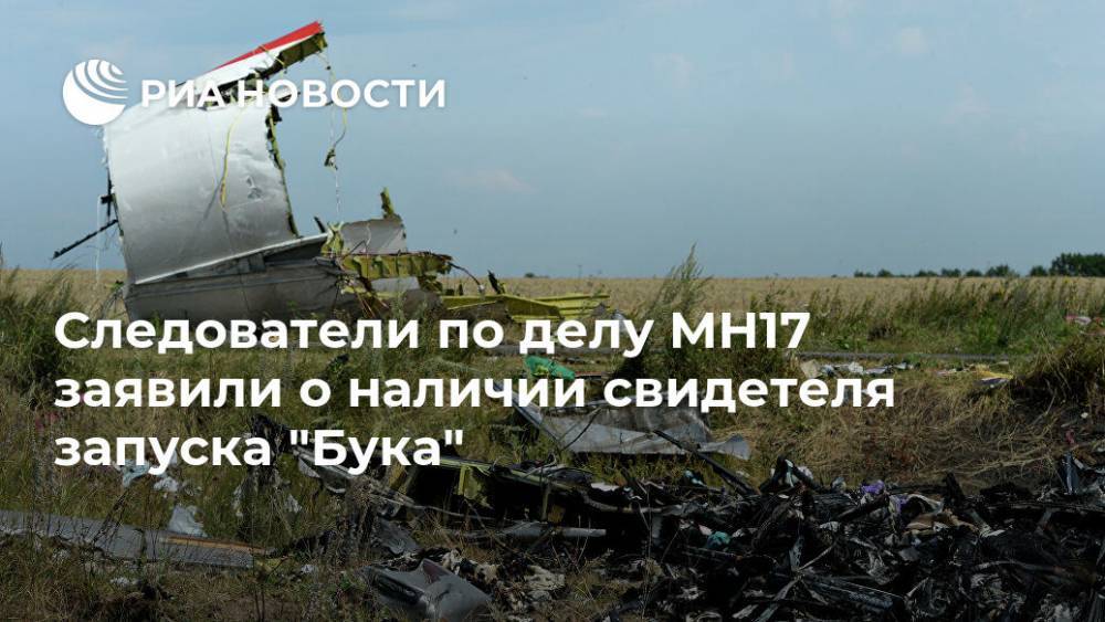 Следователи по делу MH17 заявили о наличии свидетеля запуска "Бука"