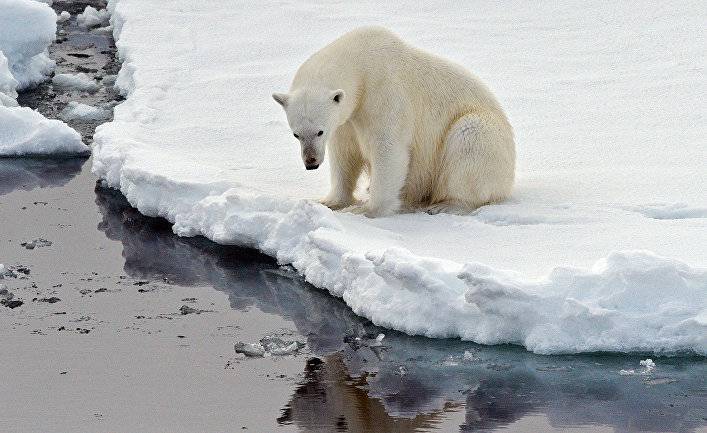 Bloomberg (США): эта зима стала самой теплой за всю историю метеонаблюдений, и во всем виноват Северный полюс