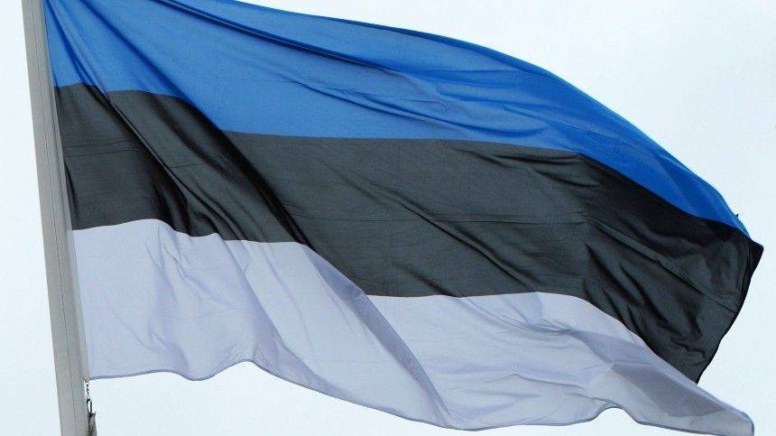Очередную годовщину независимости Эстонии отметили факельным шествием | Новости | Пятый канал