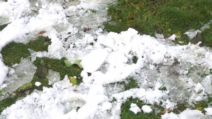 На Васильевский остров завезли снег для съемок о заложнике Николая I