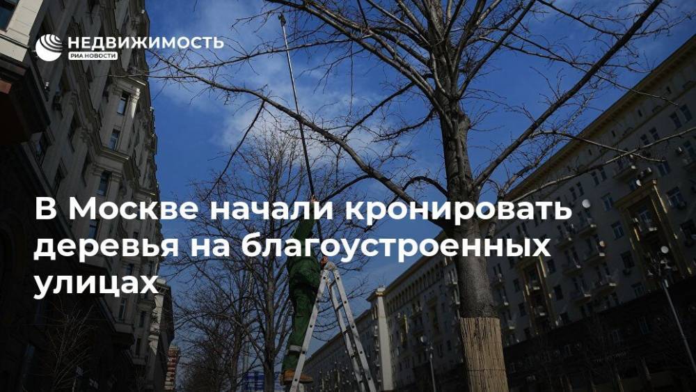 В Москве начали кронировать деревья на благоустроенных улицах