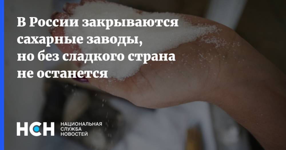 В России закрываются сахарные заводы, но без сладкого страна не останется