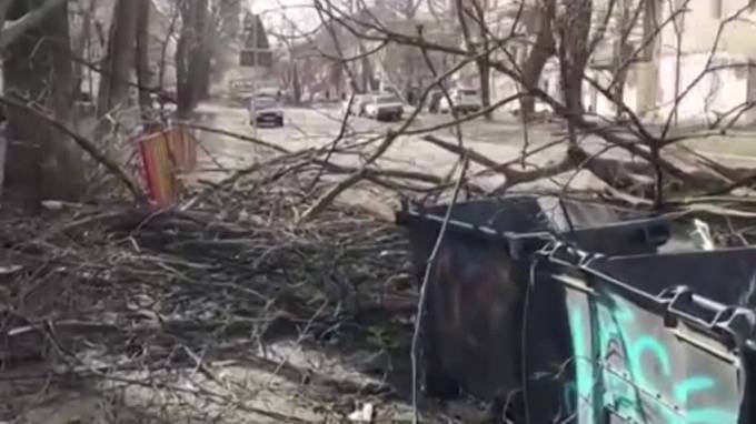 В Одессе из-за шторма "Юля" женщину насмерть придавило деревом