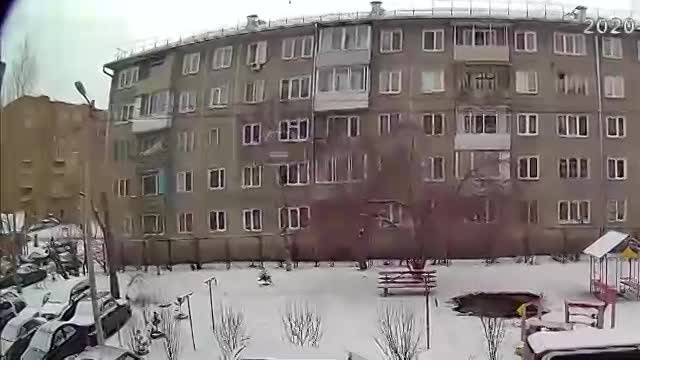 Житель Красноярска выкинул с 5 этажа маленькую собаку