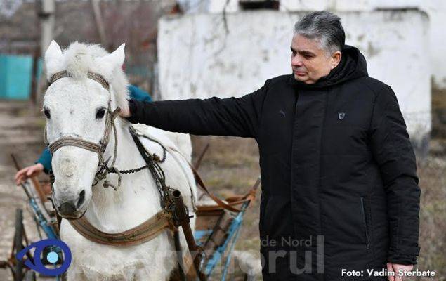Консул Румынии купил в Молдавии лошадь и спас ее — Общество. Новости, Новости Европы