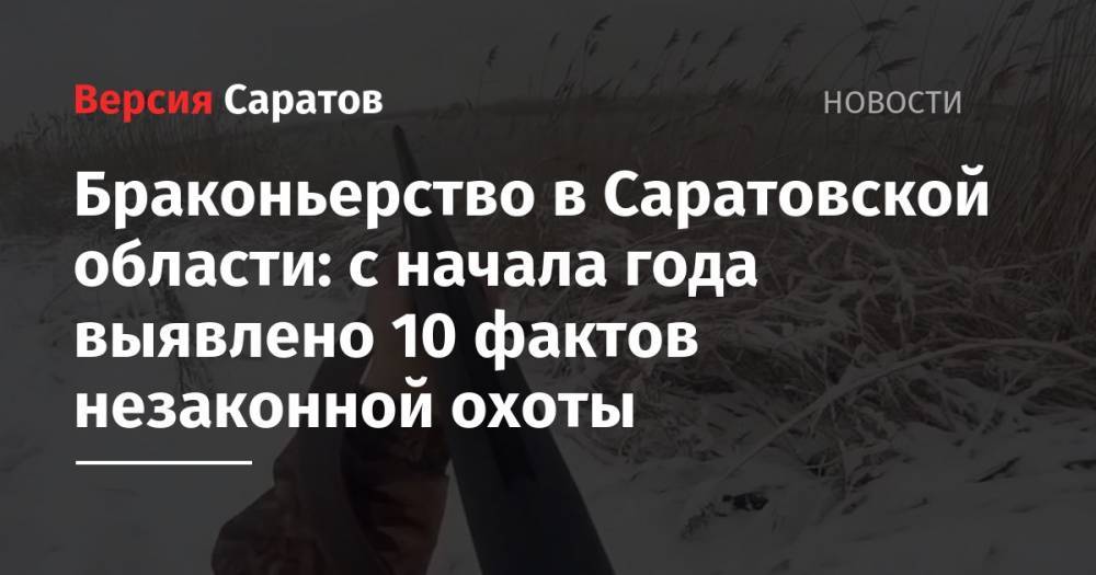 Браконьерство в Саратовской области: с начала года выявлено 10 фактов незаконной охоты