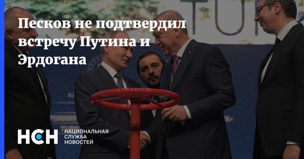 Песков не подтвердил встречу Путина и Эрдогана