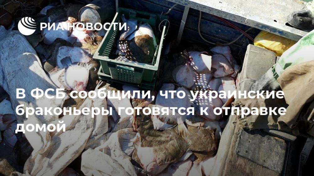 В ФСБ сообщили, что украинские браконьеры готовятся к отправке домой