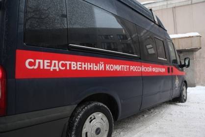 СК РФ сообщил о нападении школьника с ножом на учительницу в Ульяновске