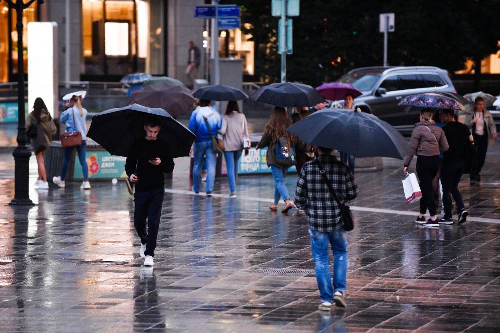 «Желтый» уровень погодной опасности объявили в Москве из-за дождя и ветра